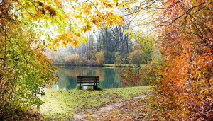 Տաք հոկտեմբերը կշարունակվի. Սուրենյան