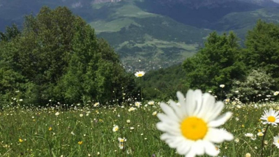 Առանձին շրջաններում սպասվում է քամու ուժգնացում. եղանակի տեսություն