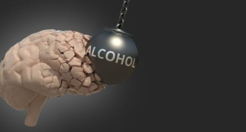 Ալկոհոլի չարաշահումը թուլացնում է ուղեղի պաշտպանությունը աղիների միջոցով. Communications Biology