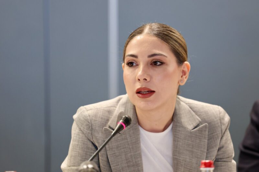 Սրբուհի Գալյանը ելույթ է ունեցել «ՀԸԳՀ. հեռանկարի և գործողությունների միջև կապի ամրապնդում» խորագրով աշխատաժողովին