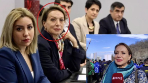 Երևան ժամանած ադրբեջանցի փորձագետների մեջ է նաև Արցախի շրջափակմանը մասնակցած «էկոակտիվիստը». Civilnet