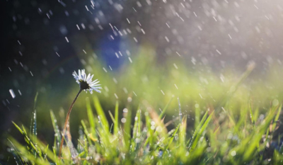 Օդի ջերմաստիճանն էապես չի փոխվի. սպասվում է անձրև