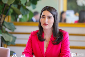 Թվային վարորդական վկայականի և տեխանձնագրի տարբերակն ընտրելու դեպքում պետական տուրքը կիսով չափ պակաս է․ ՆԳ նախարար
