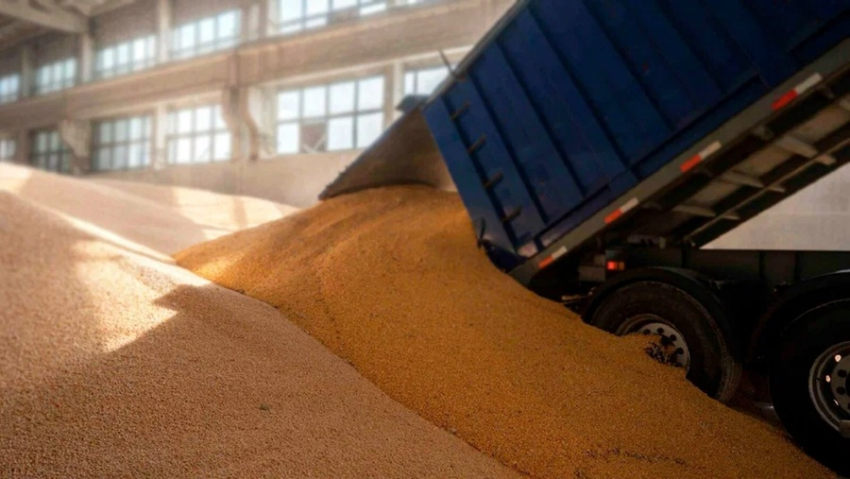 Ղազախստանը պատրաստ է ամսական 20 000 տոննա ցորեն մատակարարել Հայաստան