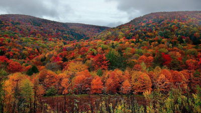 Օդի ջերմաստիճանը կբարձրանա. սպասվում է առանց տեղումների եղանակ