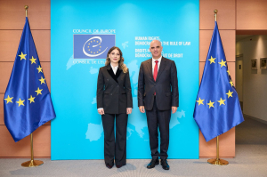 Եվրոպայի խորհրդի գլխավոր քարտուղարի հետ քննարկեցինք Սահմանադրական բարեփոխումների ընթացքը. Գալյան