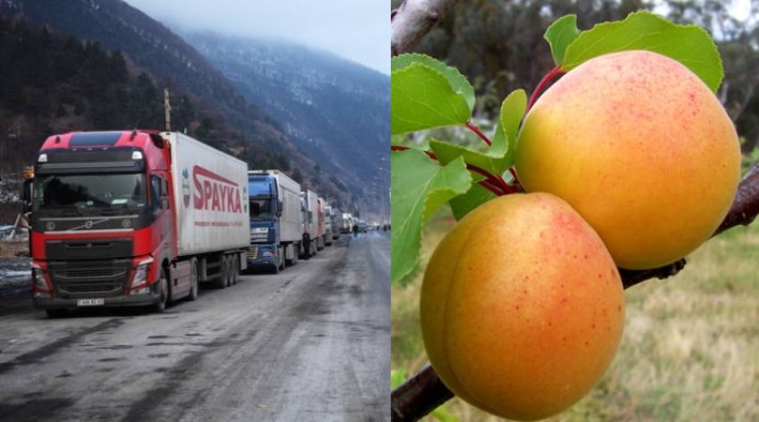 Այս ամսվա ընթացքում ՌԴ է մտել ծիրանով բեռնված ընդհանուր 720 բեռնատար