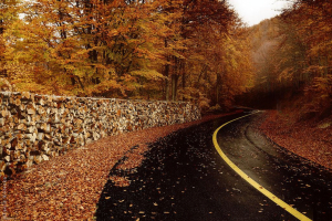 Կլիմայի փոփոխության ֆոնին 2025-ի սեպտեմբերը Հայաստանում առանձնացավ սառնությամբ և բարձր տեղումներով