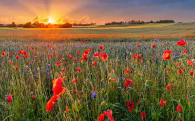 Սպասվում է առանց տեղումների եղանակ