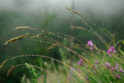 Օդի ջերմաստիճանը կնվազի 2-4 աստիճանով. սպասվում է կարճատև անձրև և ամպրոպ