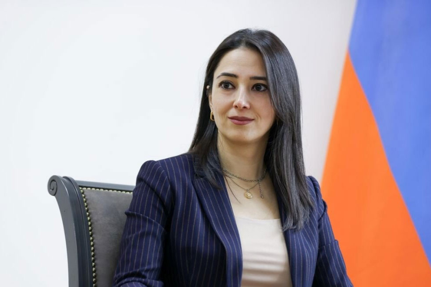 ՀՀ ԱԳ փոխնախարարը հստակ մերժել է երրորդ սուբյեկտի կողմից «վերահսկողության» եզրույթը․ պարզաբանում