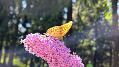 Օդի ջերմաստիճանը կբարձրանա 2-5 աստիճանով. սպասվում է առանց տեղումների եղանակ