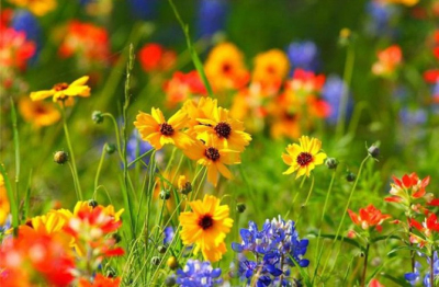 Օդի ջերմաստիճանը սեպտեմբերի 29-ի ցերեկը կբարձրանա ևս 2-3 աստիճանով