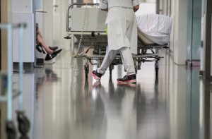 Որևէ ուսանողի կյանքին վտանգ չի սպառնում․ Բրյուսովի անվան պետական համալսարան