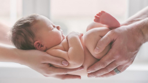 Ճապոնիայում տղամարդկանց գենետիկ անպտղության բուժման միջոց են գտել