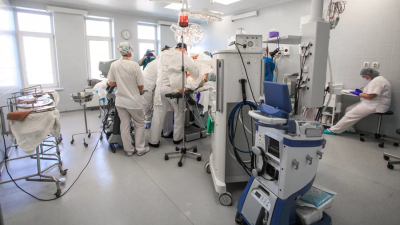 Չինացի գիտնականները խոզի լյարդ են փոխպատվաստել մարդուն